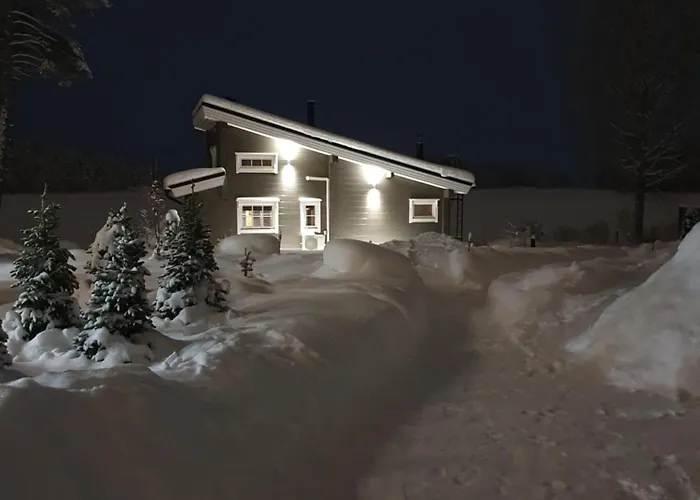 Stunning Log 45m2 On The Shore Of Kallavesi.